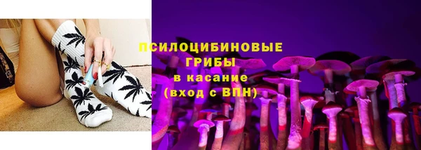 круглые Карпинск