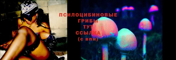 круглые Карпинск