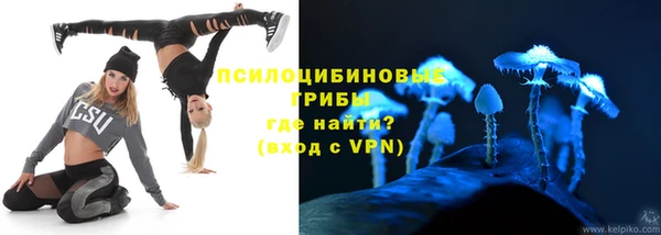 круглые Карпинск