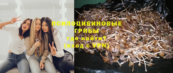 круглые Карпинск