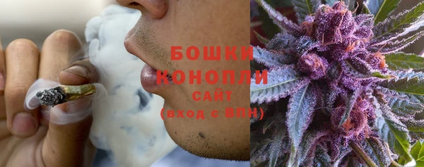 круглые Карпинск