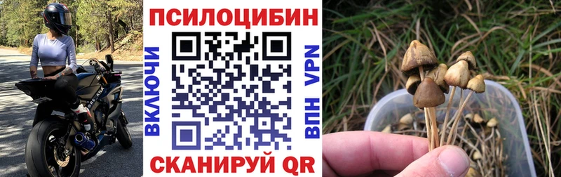 закладка  Красково  Галлюциногенные грибы мухоморы 